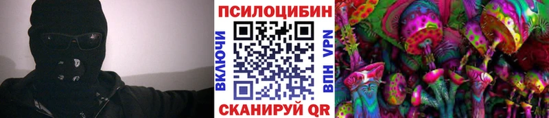 Купить закладки  Сальск  Галлюциногенные грибы Cubensis 